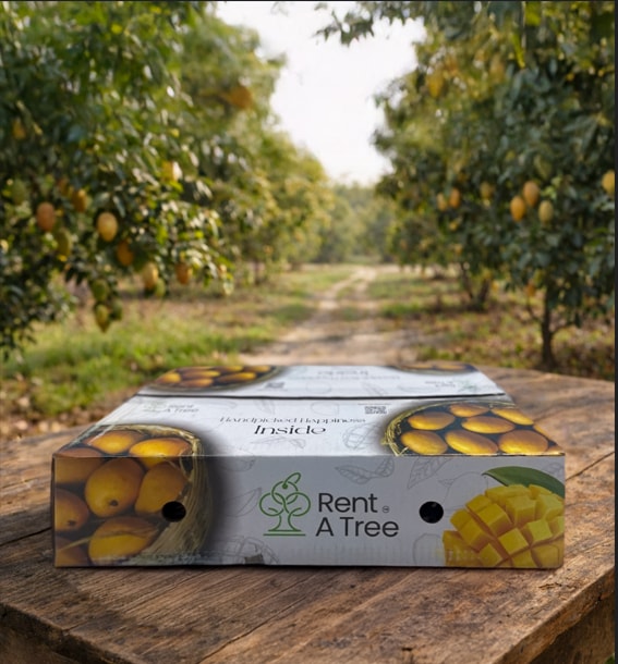 Rent A Tree - Mango Packaging